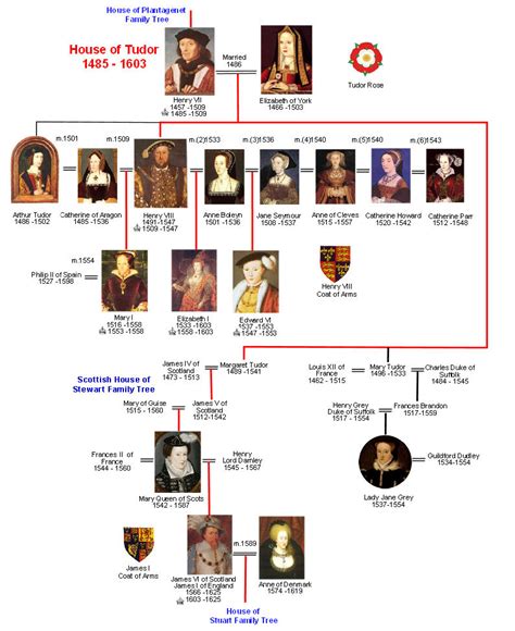 tudor family history